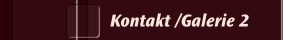 Kontakt /Galerie 2
