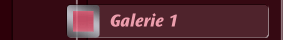Galerie 1