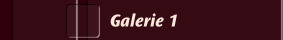 Galerie 1